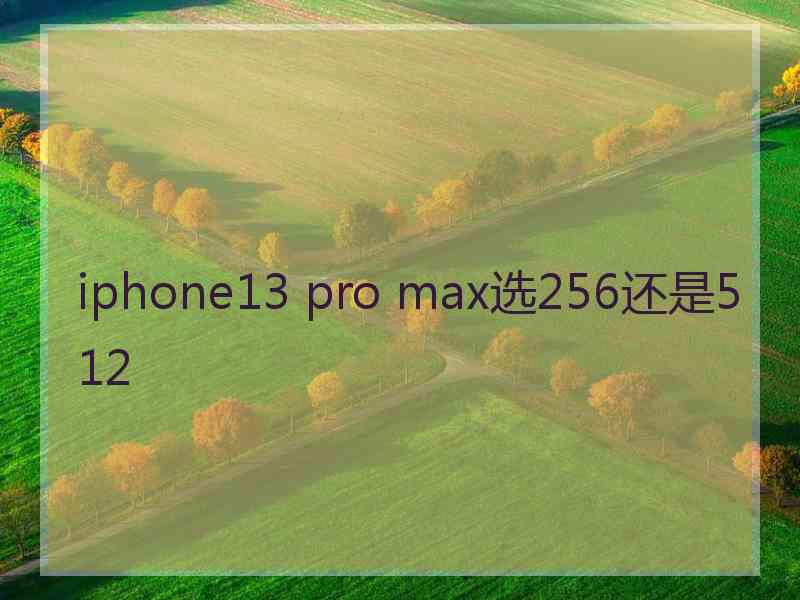 iphone13 pro max选256还是512