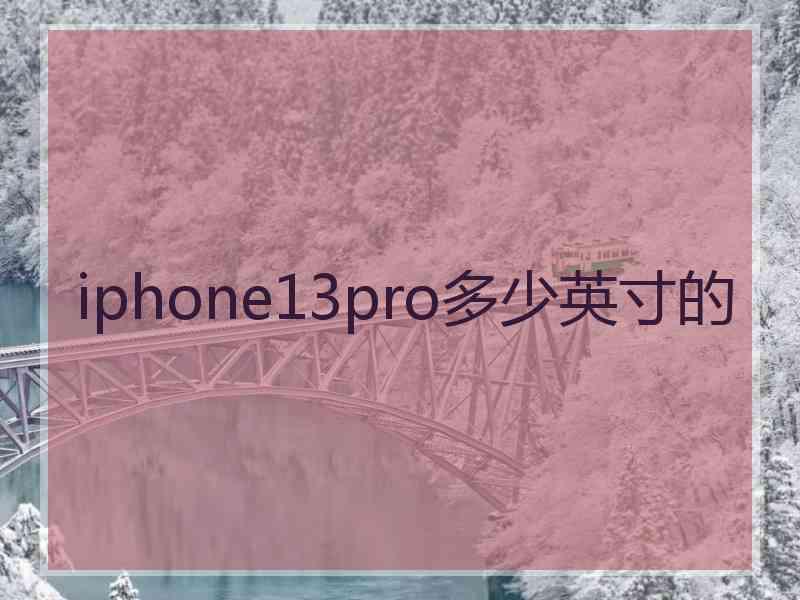 iphone13pro多少英寸的