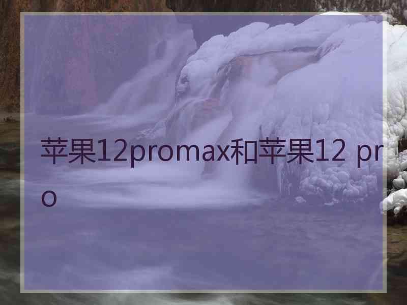 苹果12promax和苹果12 pro