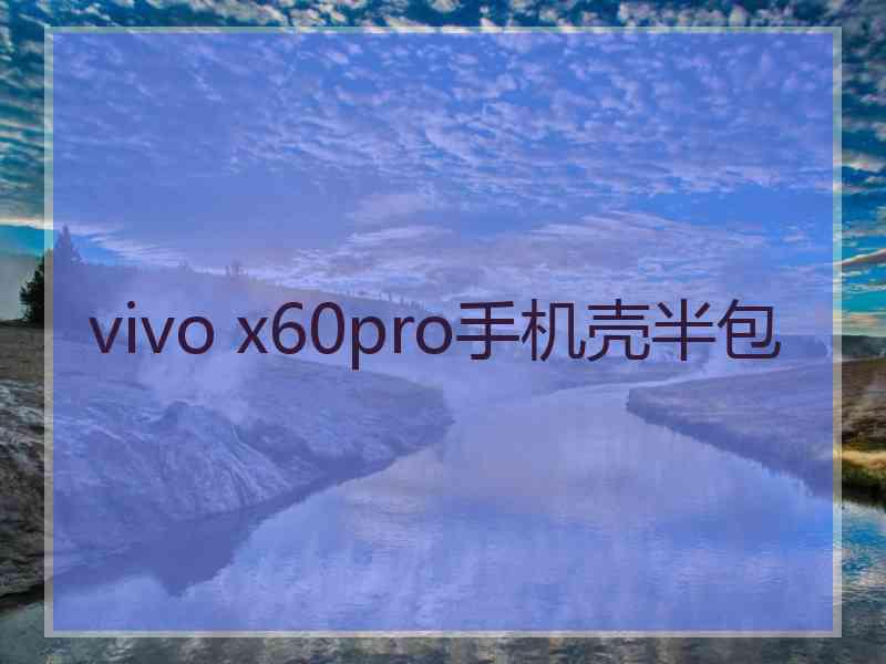 vivo x60pro手机壳半包