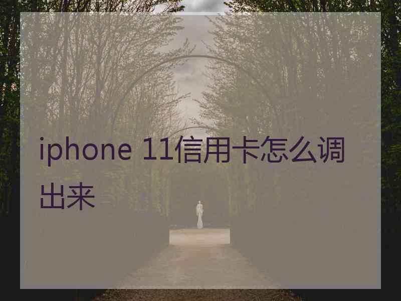 iphone 11信用卡怎么调出来