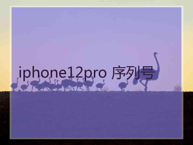 iphone12pro 序列号