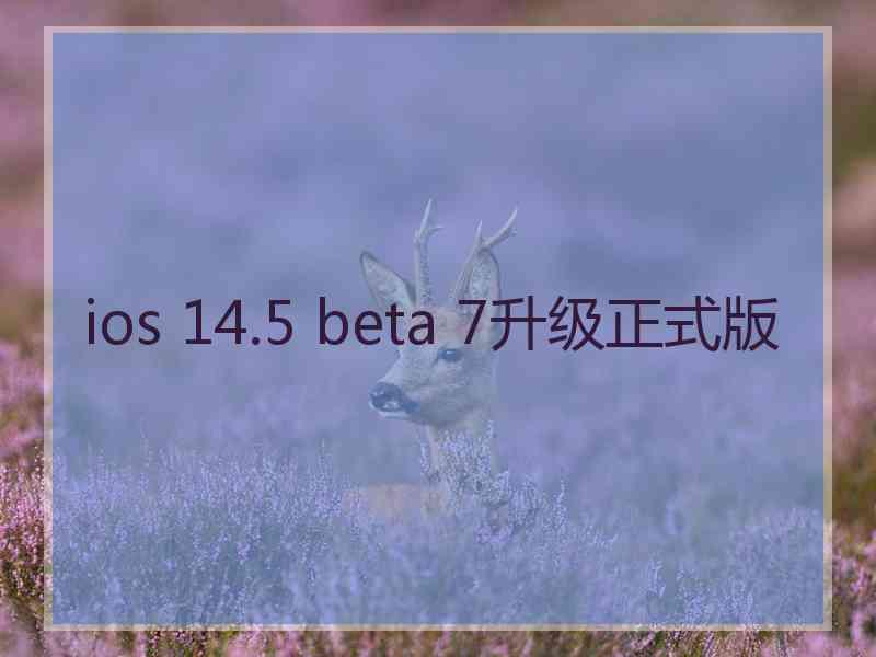 ios 14.5 beta 7升级正式版