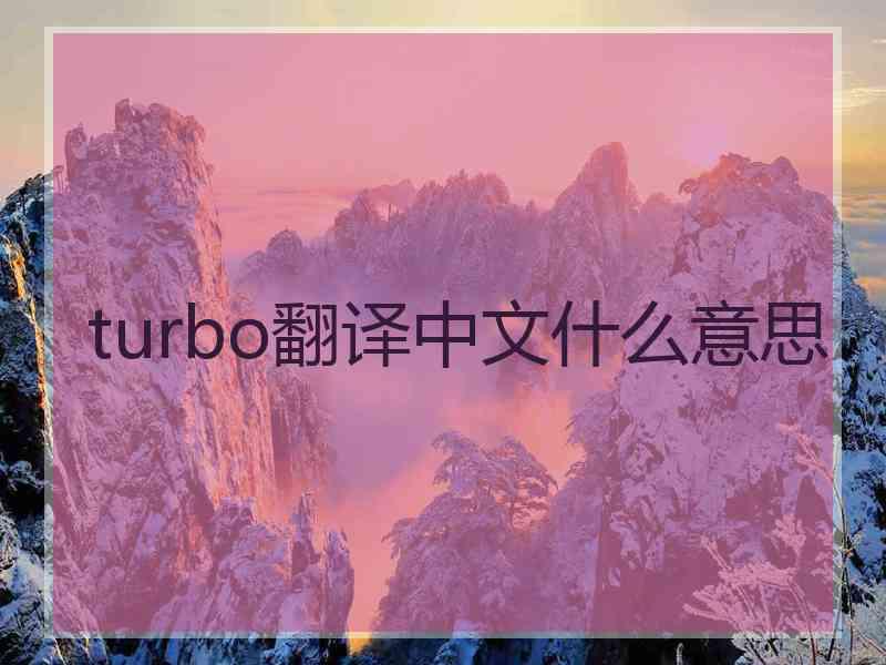 turbo翻译中文什么意思