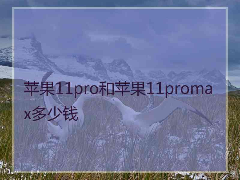 苹果11pro和苹果11promax多少钱