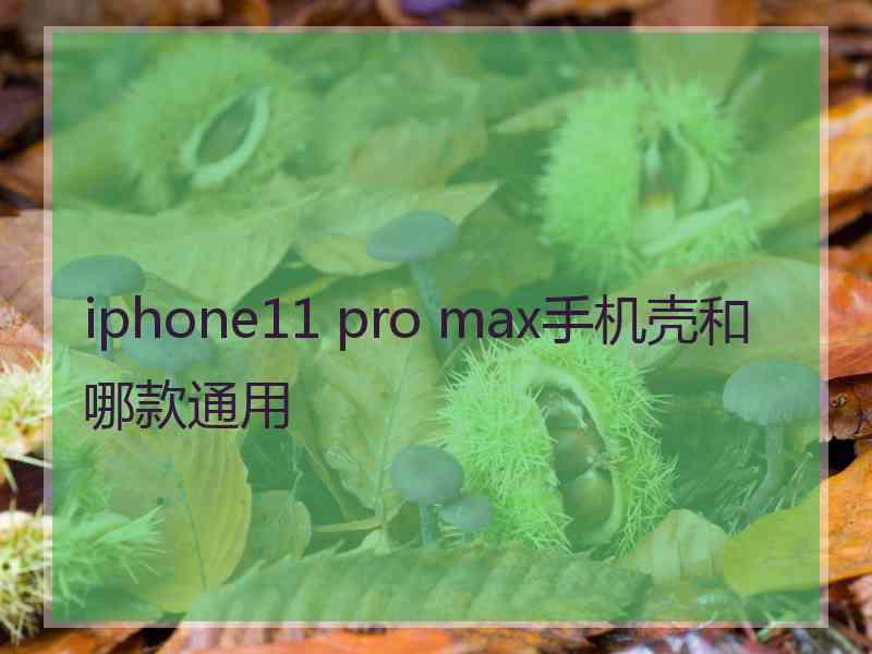 iphone11 pro max手机壳和哪款通用