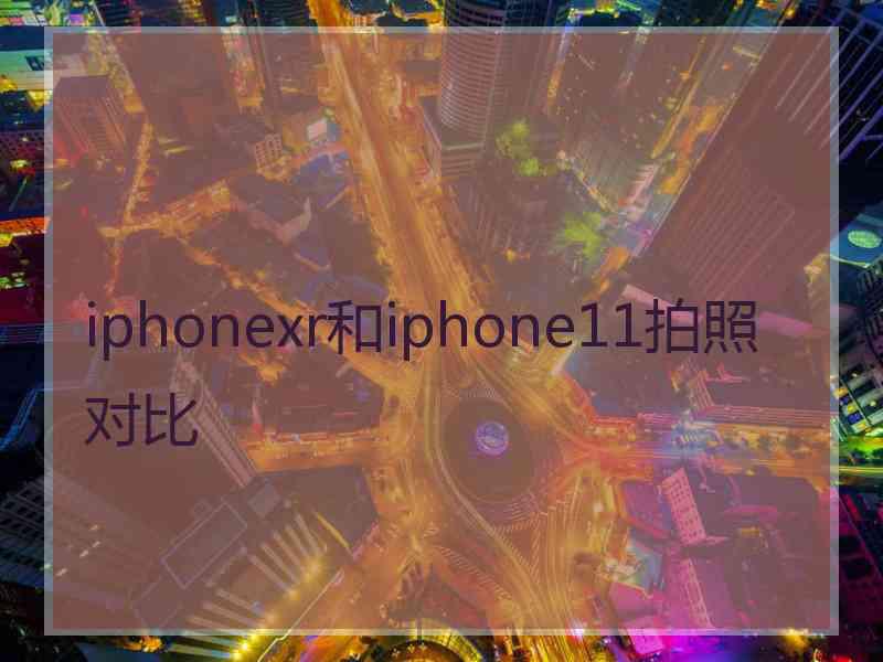 iphonexr和iphone11拍照对比