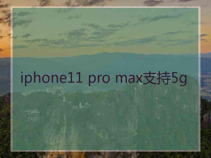 iphone11 pro max支持5g