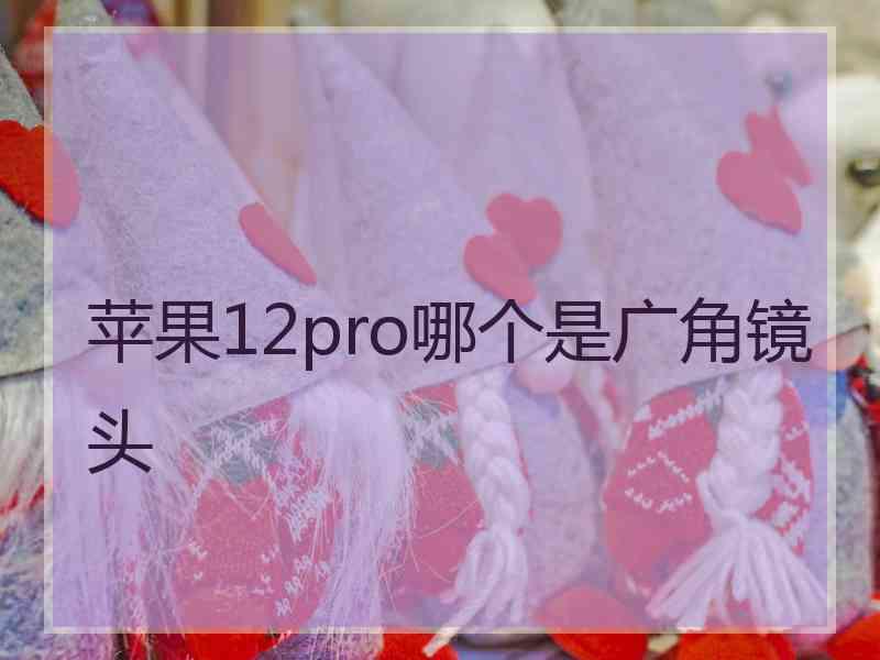 苹果12pro哪个是广角镜头