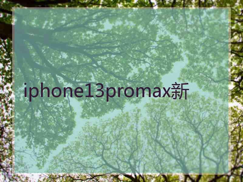 iphone13promax新