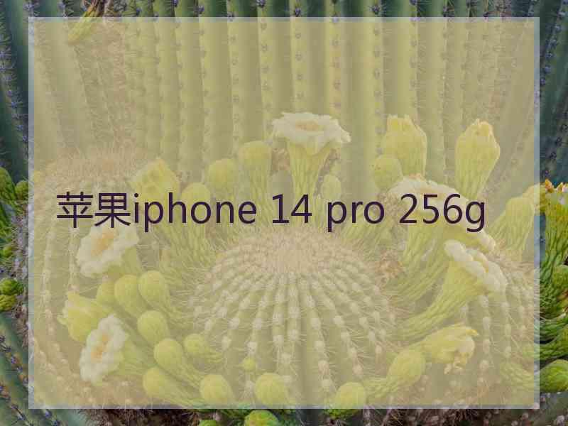 苹果iphone 14 pro 256g