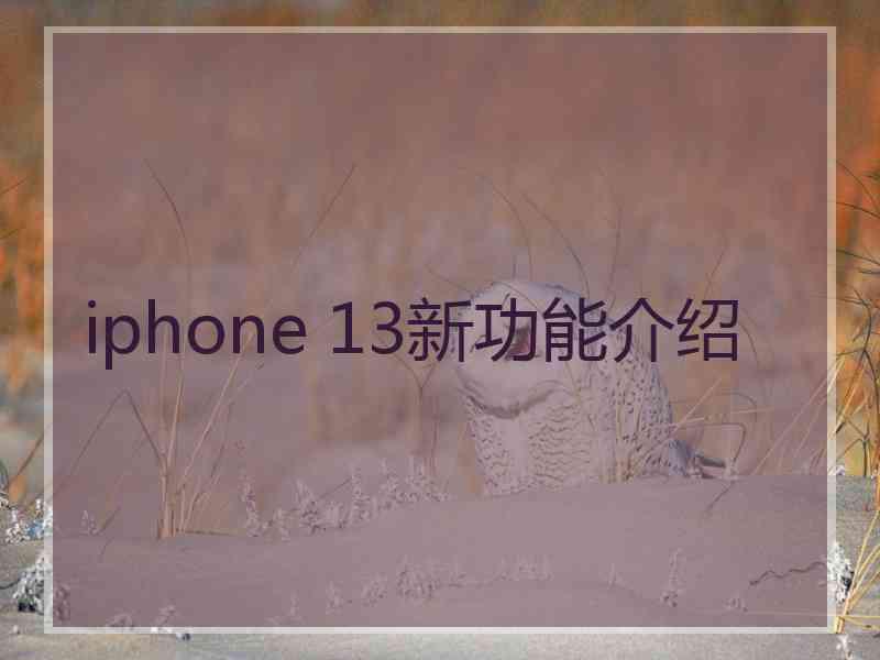 iphone 13新功能介绍