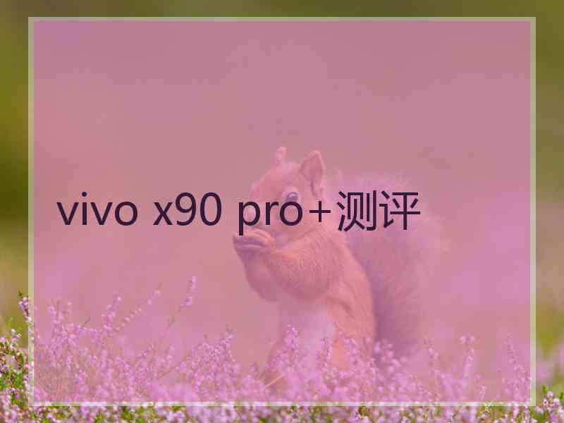 vivo x90 pro+测评