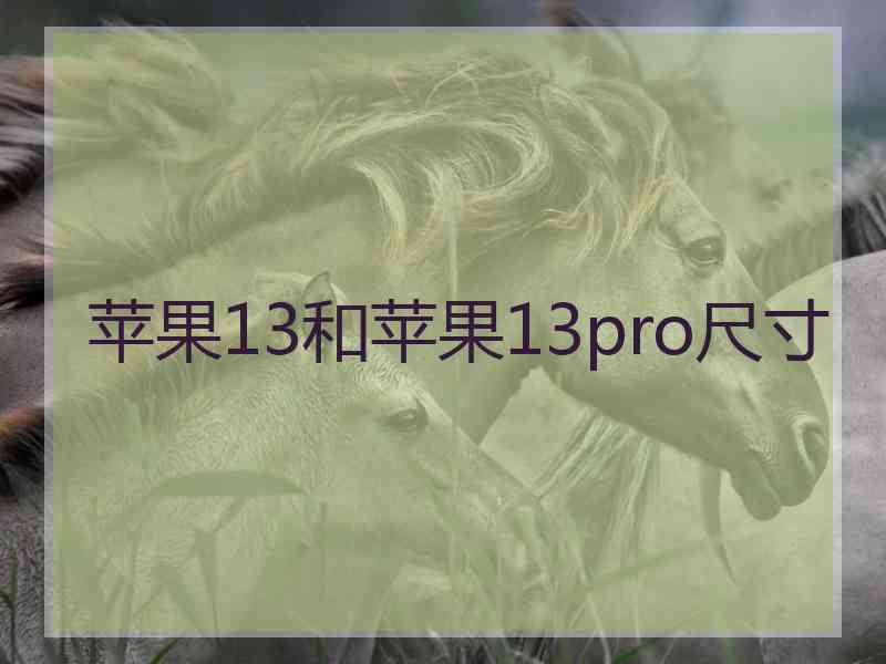 苹果13和苹果13pro尺寸