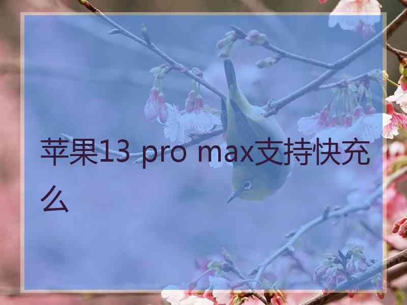 苹果13 pro max支持快充么