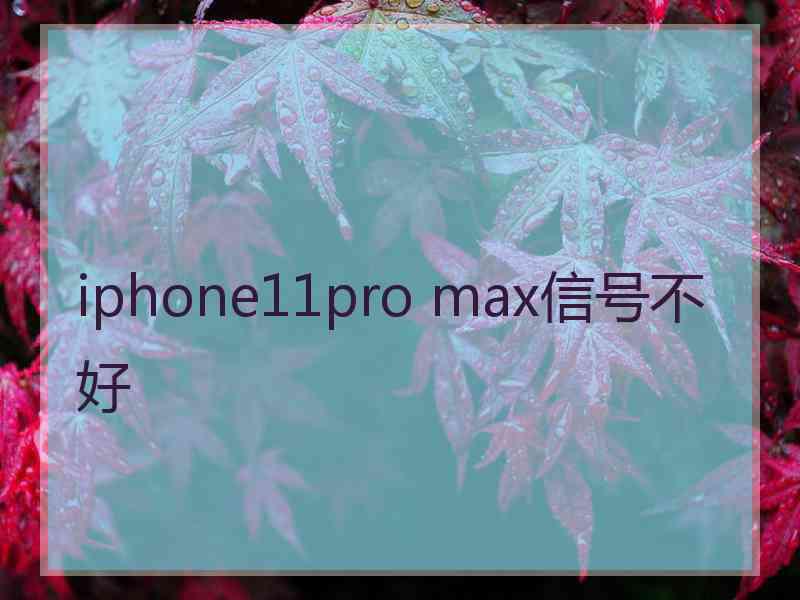 iphone11pro max信号不好