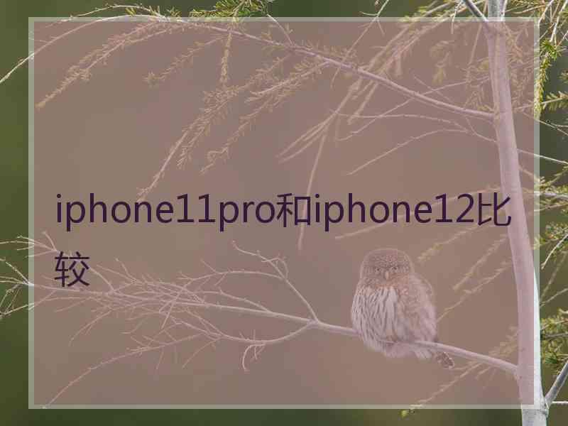 iphone11pro和iphone12比较