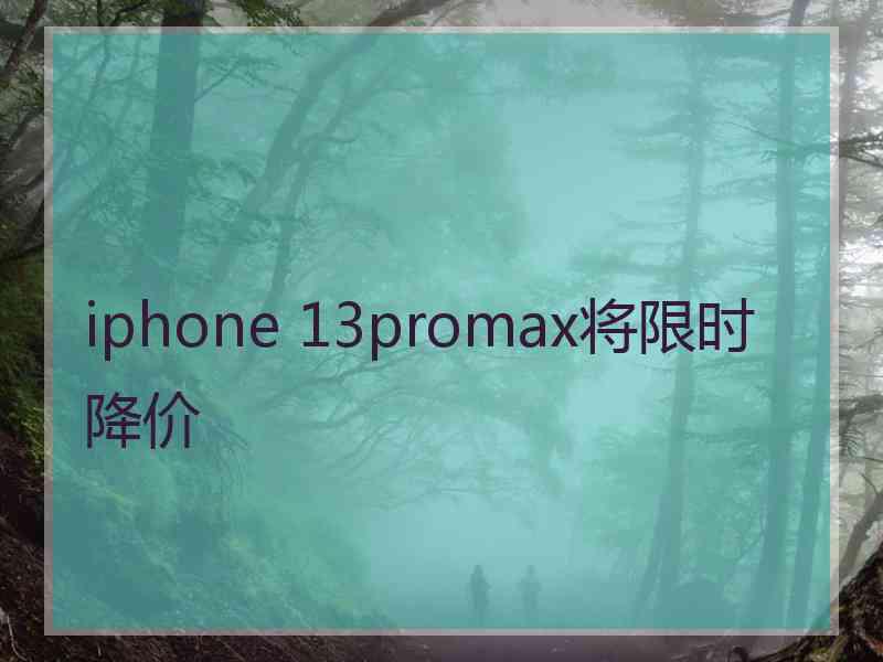 iphone 13promax将限时降价