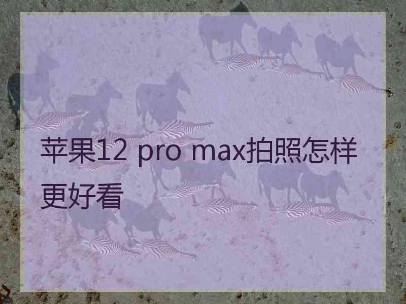 苹果12 pro max拍照怎样更好看