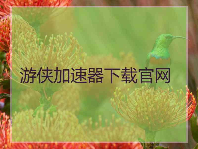 游侠加速器下载官网