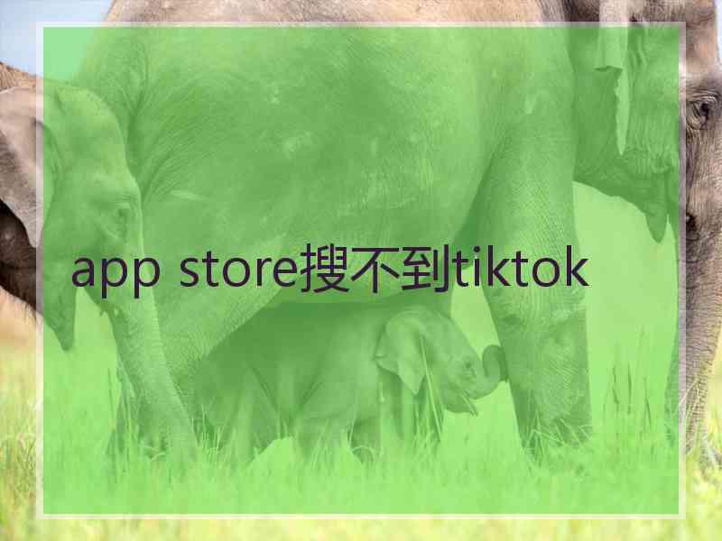 app store搜不到tiktok