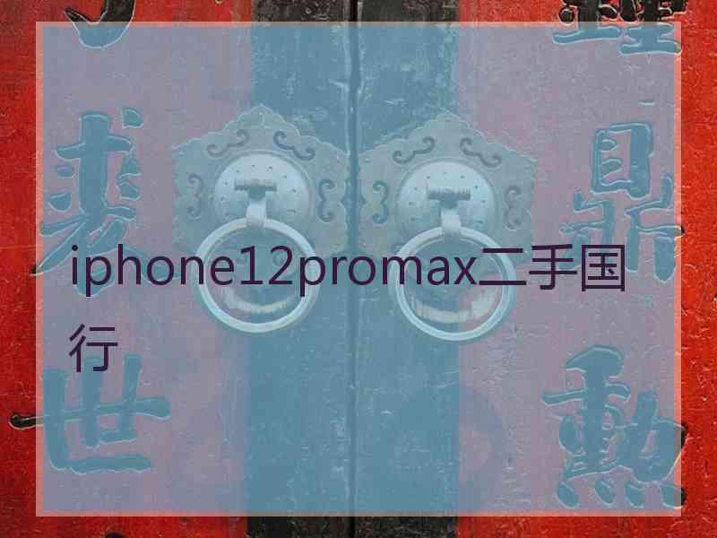 iphone12promax二手国行