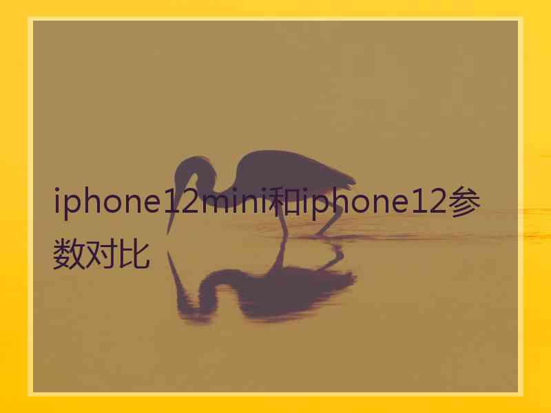 iphone12mini和iphone12参数对比