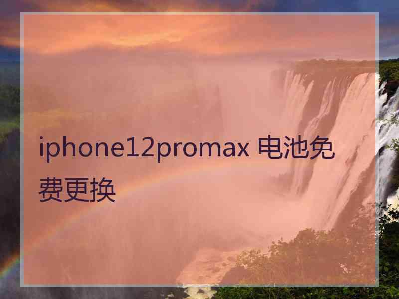 iphone12promax 电池免费更换