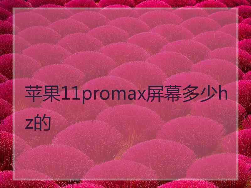 苹果11promax屏幕多少hz的