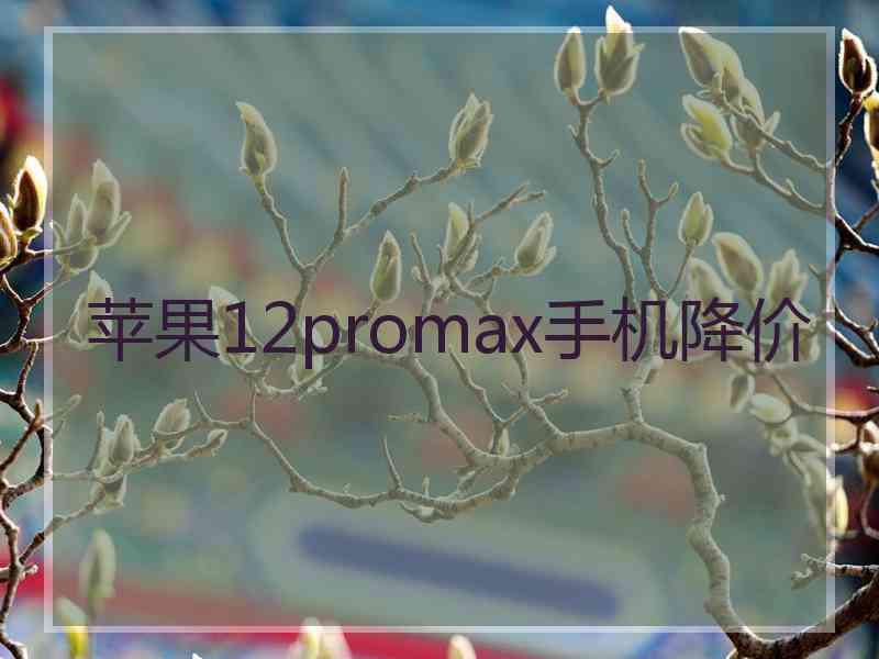 苹果12promax手机降价