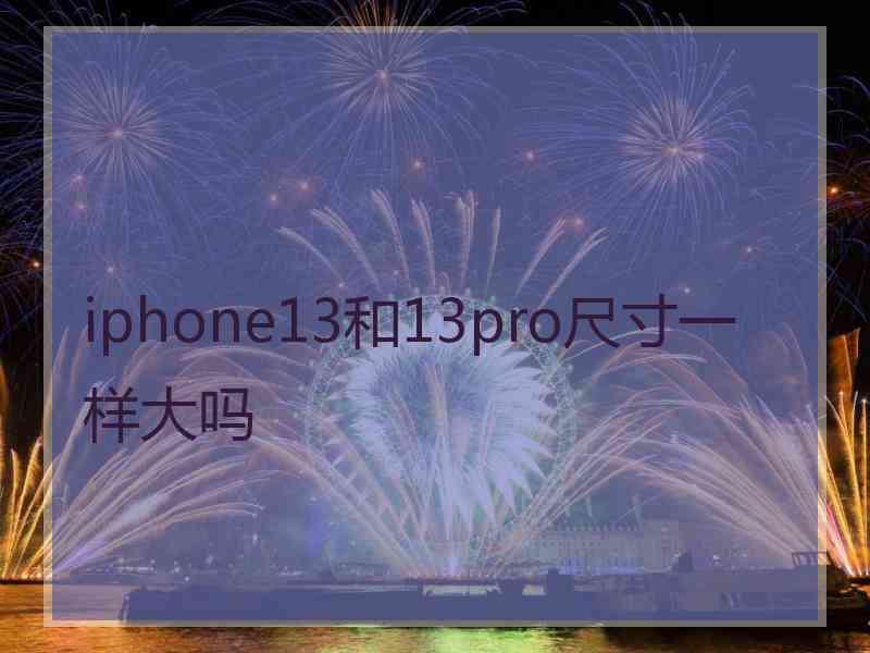 iphone13和13pro尺寸一样大吗