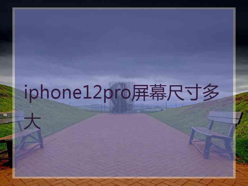 iphone12pro屏幕尺寸多大