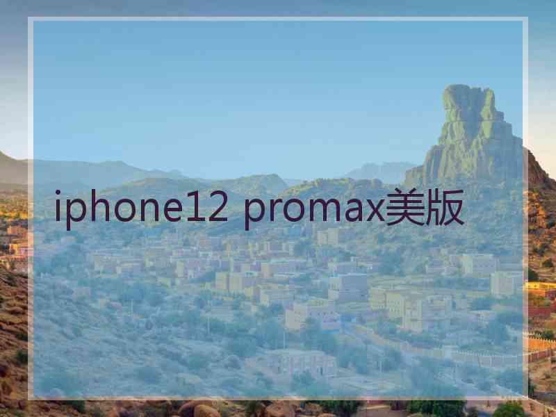 iphone12 promax美版