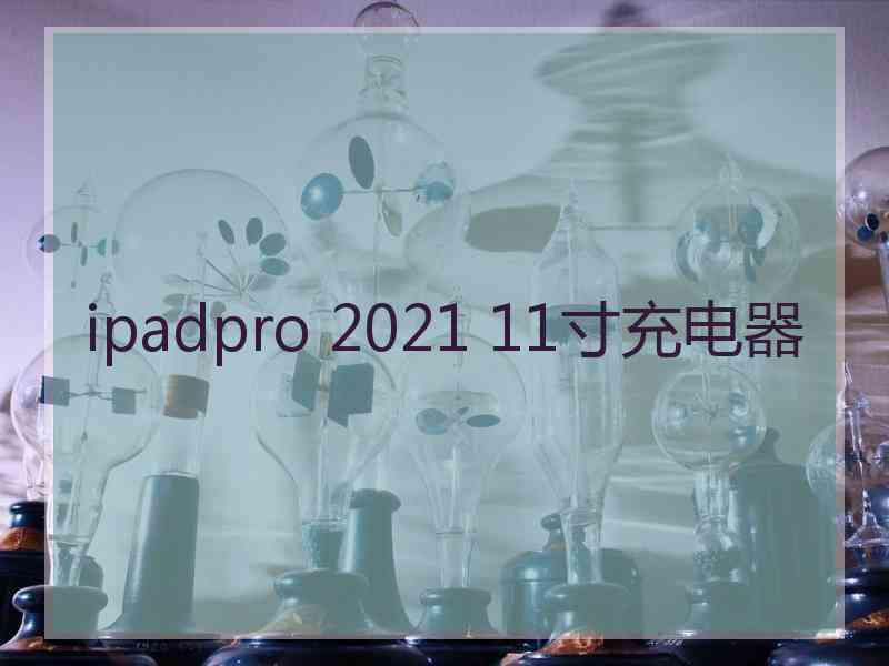 ipadpro 2021 11寸充电器