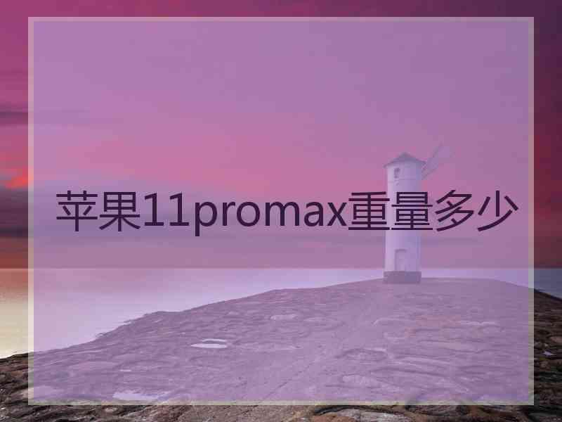 苹果11promax重量多少