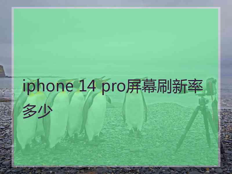 iphone 14 pro屏幕刷新率多少