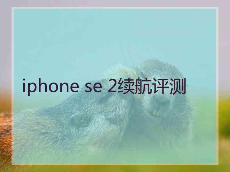 iphone se 2续航评测