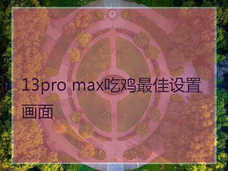 13pro max吃鸡最佳设置画面