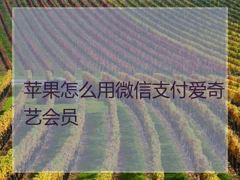 苹果怎么用微信支付爱奇艺会员