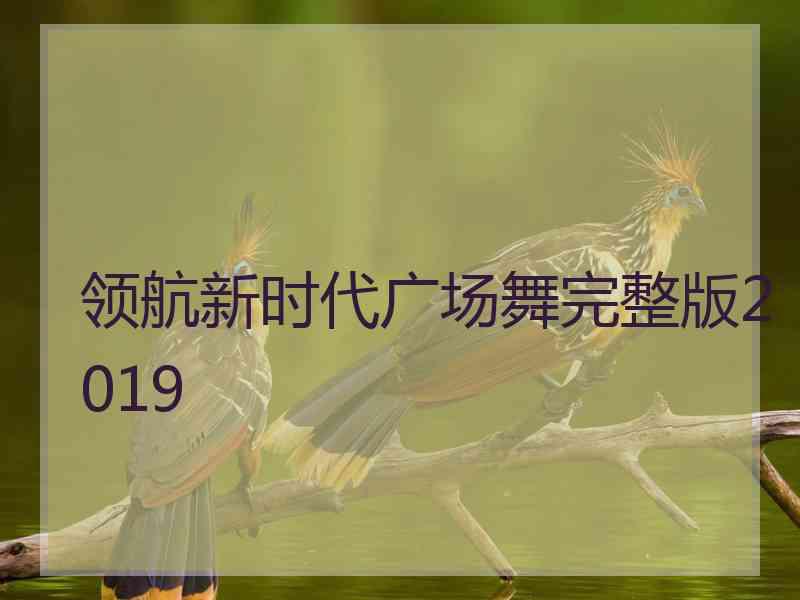 领航新时代广场舞完整版2019