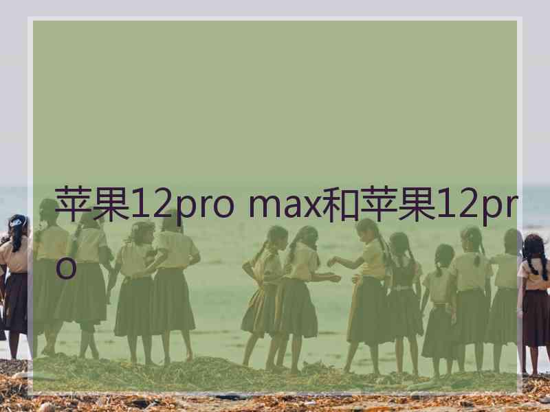 苹果12pro max和苹果12pro