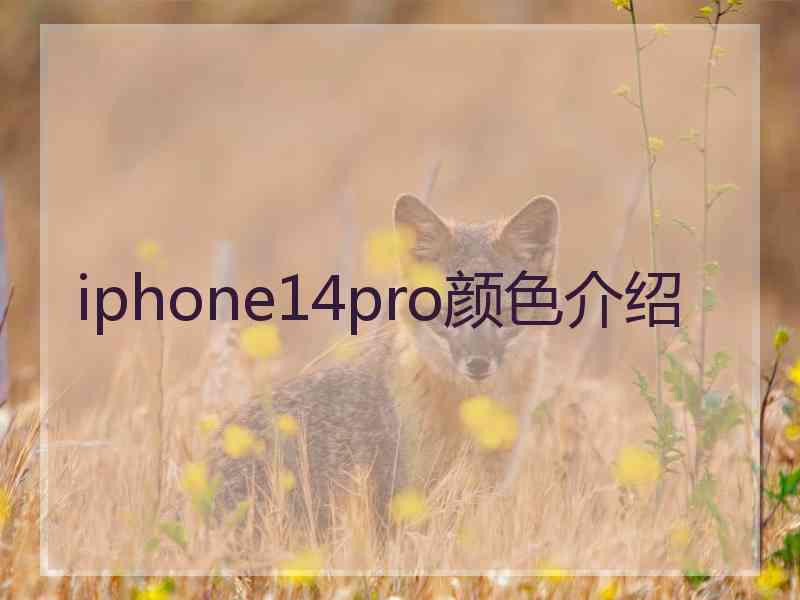 iphone14pro颜色介绍