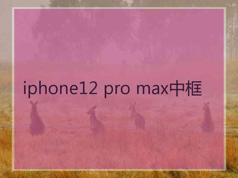 iphone12 pro max中框