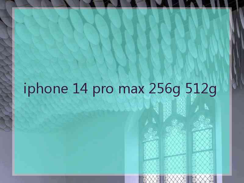 iphone 14 pro max 256g 512g