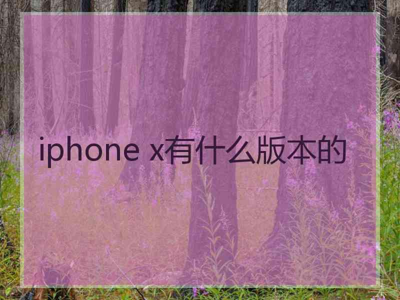 iphone x有什么版本的