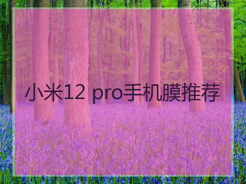 小米12 pro手机膜推荐