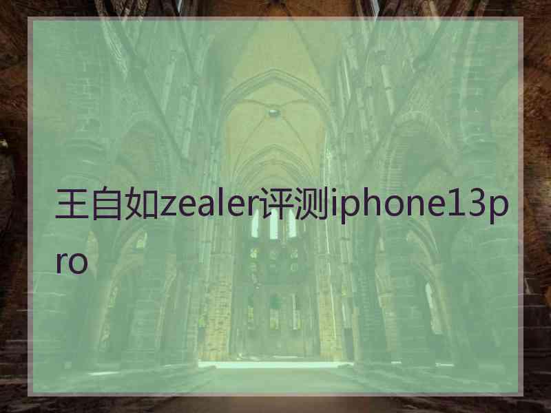 王自如zealer评测iphone13pro