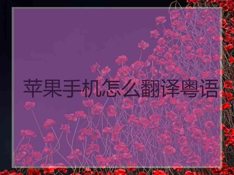 苹果手机怎么翻译粤语