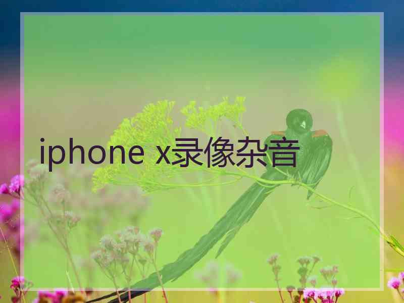 iphone x录像杂音