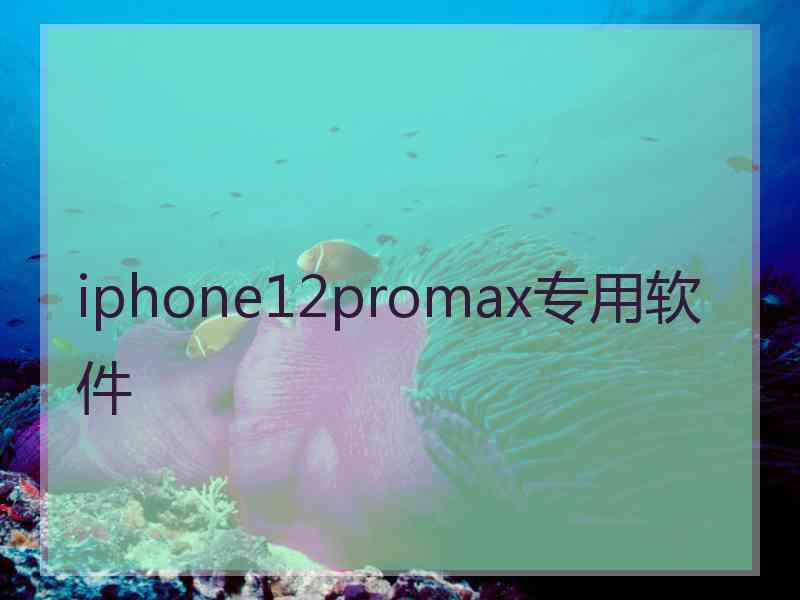 iphone12promax专用软件